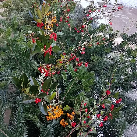 Casa San Francesco 2* Bardonecchia